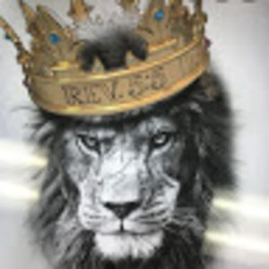 Meet your Posher, Alexander